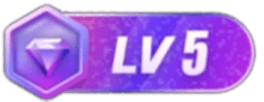 等级-LV5-小武站